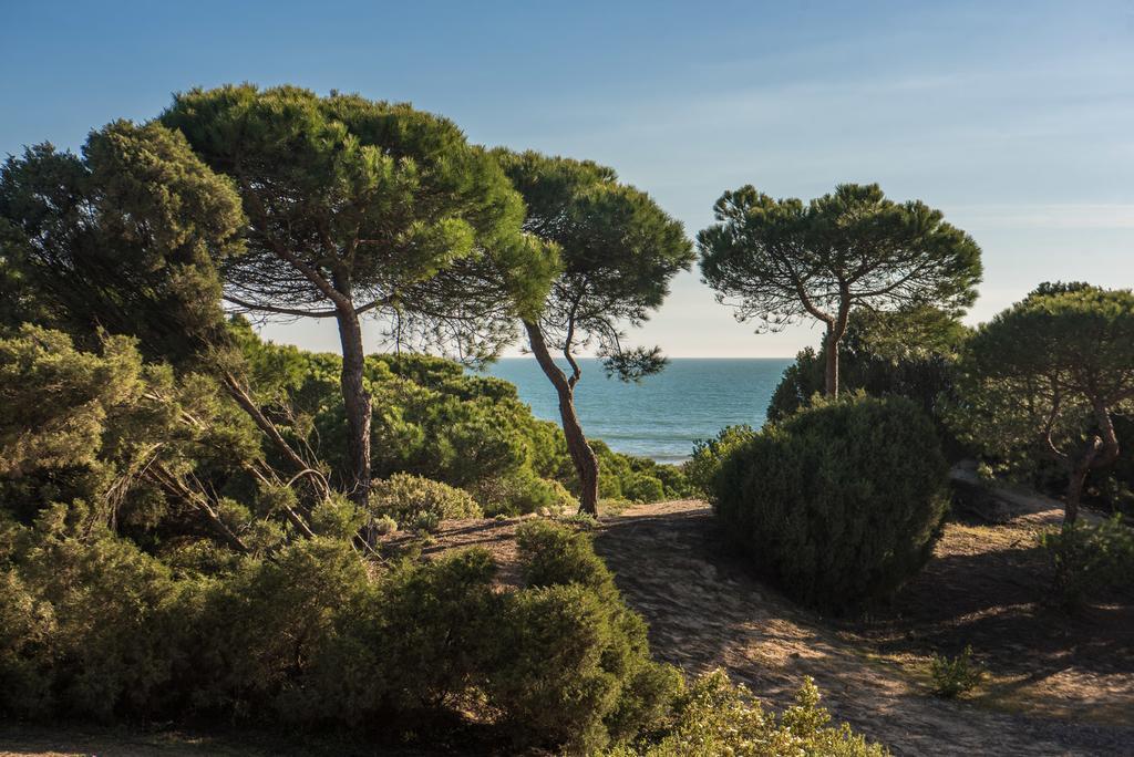 Apartamentos Costa Luz ปุนตาอุมเบรีย ภายนอก รูปภาพ