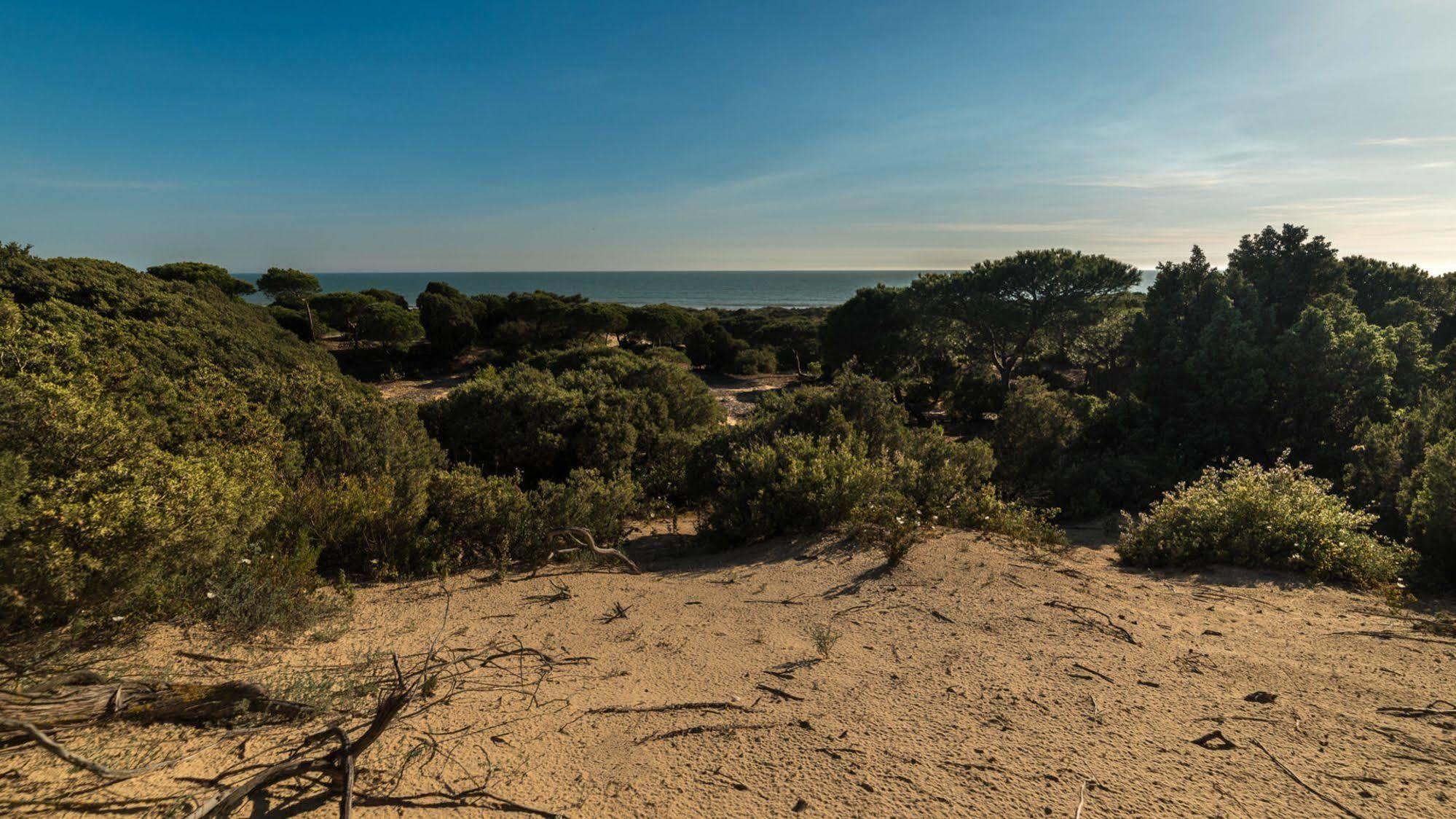 Apartamentos Costa Luz ปุนตาอุมเบรีย ภายนอก รูปภาพ