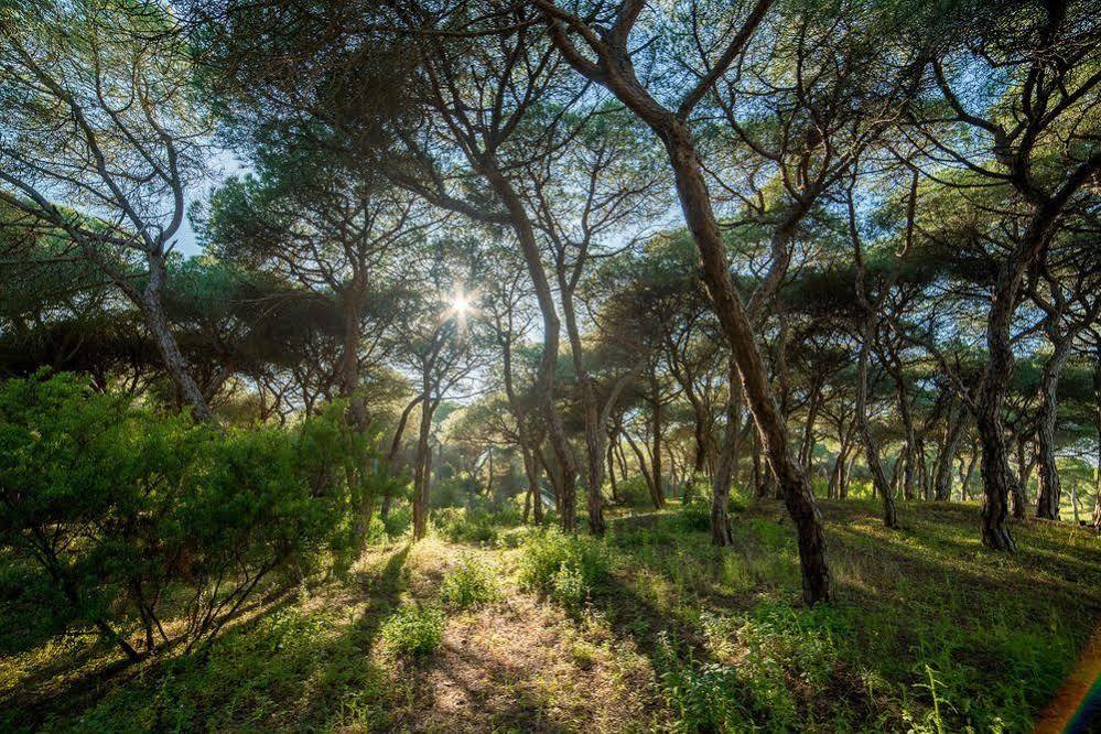 Apartamentos Costa Luz ปุนตาอุมเบรีย ภายนอก รูปภาพ